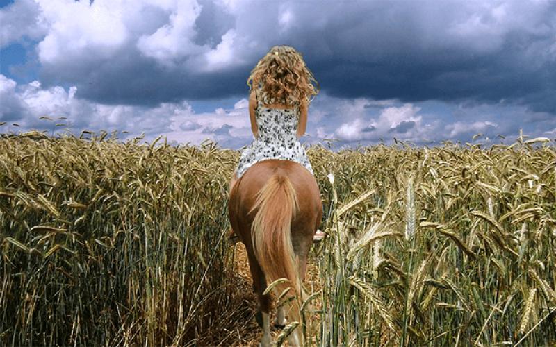 Att se en häst i en dröm - varför drömma från en drömbok